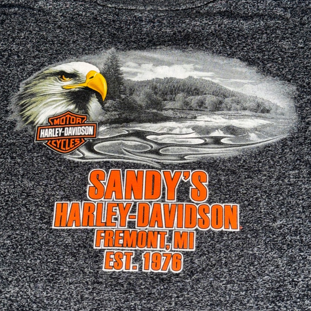 Harley-Davidson T-Shirt Mens XL Gray Heather Sandys Fremont MI Eagle Graphic Tee